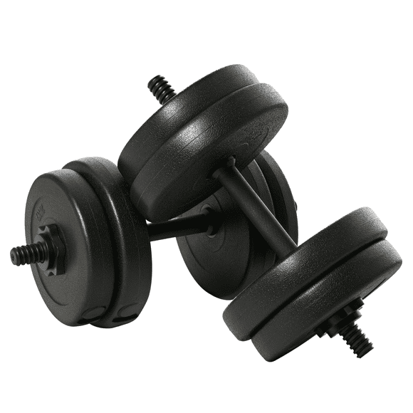 Soozier Ensemble d'Haltères Réglables 2 x 22lbs pour Entraînement de Fitness Équipement de Gym à Domicile, Noir (Paire)