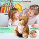 thumbnail image 4 of Musical Happy Birthday Teddy Bear with Glowing Cupcake, Animated Plush Toy Singing Dancing Talking Plush Bear Repeating, 4 of 4