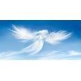 thumbnail image 2 of Angel Clouds Photo License Plate, 2 of 2