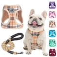 thumbnail image 1 of Juego de arneses y correas para perros BEAUTYZOO Step In, sin tirones, para perros, 1 of 6
