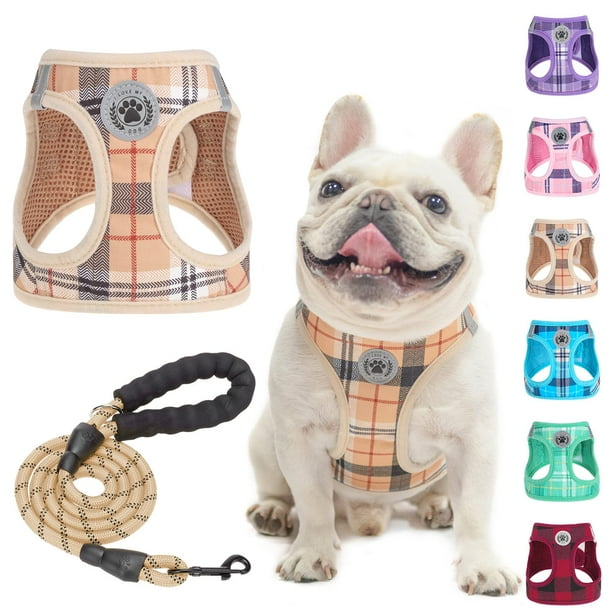 Juego de arneses y correas para perros BEAUTYZOO Step In, sin tirones, para perros