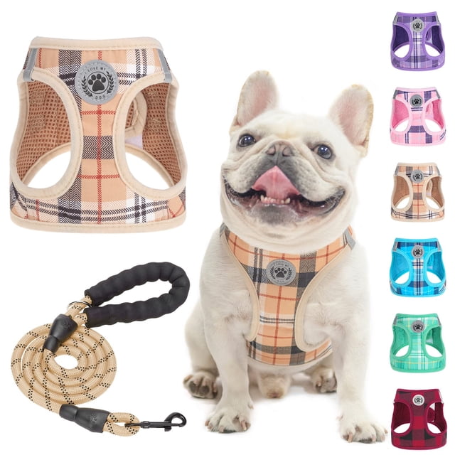 Juego de arneses y correas para perros BEAUTYZOO Step In, sin tirones, para perros