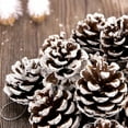 thumbnail image 4 of 25 Piñas de Pino Naturales de Navidad a Granel XCF Adorno Colgante 1,6 a 2 Pulgadas, 4 of 4