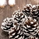 thumbnail image 4 of 25 Piñas de Pino Naturales de Navidad a Granel XCF Adorno Colgante 1,6 a 2 Pulgadas, 4 of 4