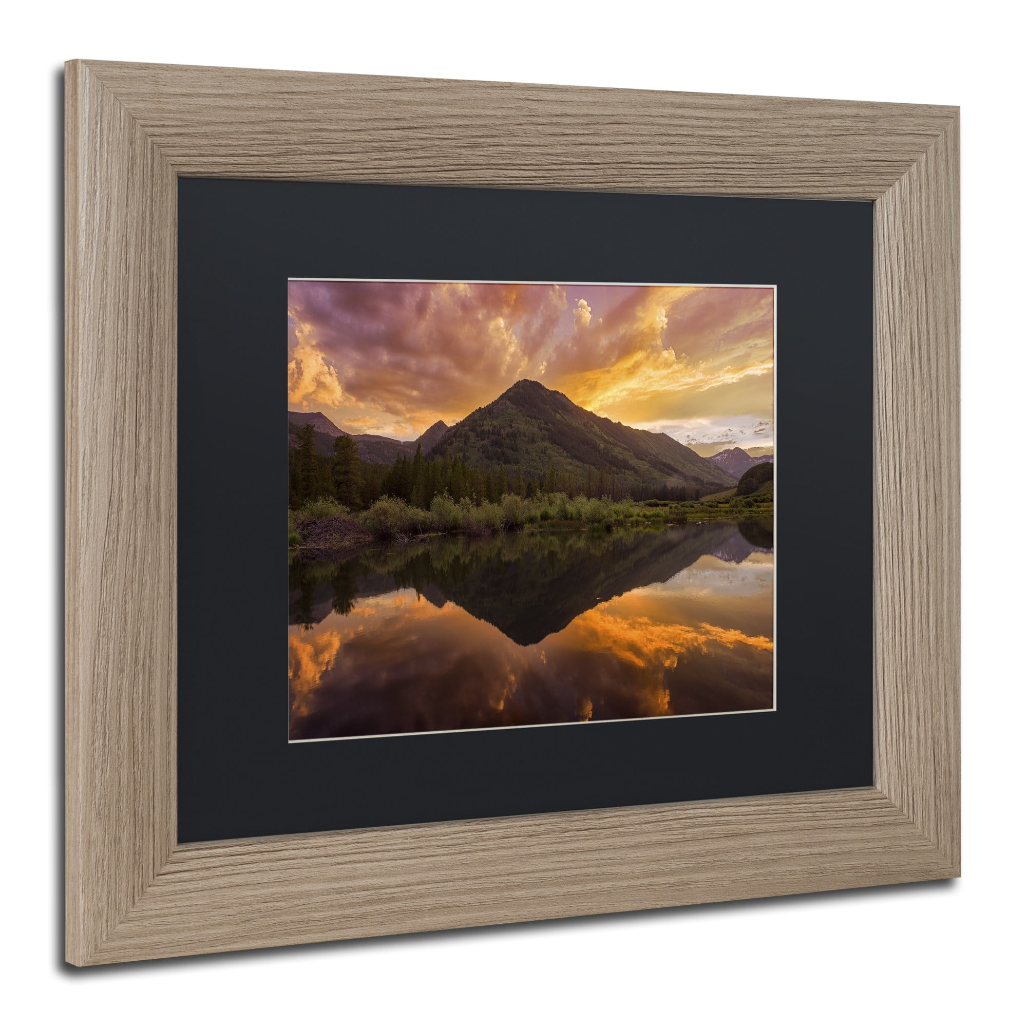 Trademark Fine Art "Orange Majesty" Canvas Art by Michael Blanchette Photography Black Matte, Birch Frame