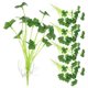 thumbnail image 1 of 5pcs Aquarium Artificial Plant Fake Water Grass Decoration Aquarium Plant Fish Tank Accessory, 1 of 3
