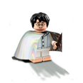 thumbnail image 1 of LEGO Harry Potter Série - Harry Potter avec Cape d'Invisibilité - 71022, 1 of 1