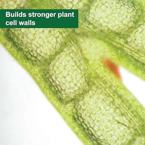 SUPERthrive® Pro-Tekt® 0-0-3 Silicon - for Plants, 8 oz.
