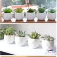 thumbnail image 4 of Modern Geometric Ceramic Pots Various Realistic Succulents, Set of 4, 4 of 5