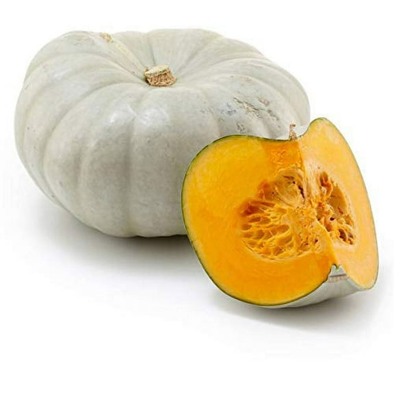 Jarradale Pumpkin Seeds, Pale Green Color, (Jarrahdale) 10 Premium Heirloom Seeds, Non GMO Seeds, Isla's Garden Seeds