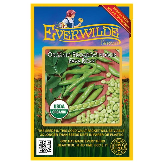 Everwilde Farms - 20 Organic Broad Windsor Fava Bean Seeds - Gold Vault Jumbo Bulk Seed Packet