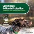 thumbnail image 6 of Advantage Collar Dog, Flea & Tick Collar for Dogs, One Size Fits All, 4-Month Protection, 6 of 12