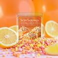 thumbnail image 3 of Scentsationals Wax Melts, Strong Scent - Marshmallow Crispies - Long Lasting Scented Wax Melts for Warmer, 5oz, 3 of 6