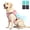 Pink, variant on Dog Cooling Vest Harness for Medium Large Dogs,4 Replaceable Ice Packs Cooling Jacket for Summer Sun Protection,UV Adjustable Reflective Dog Clothes for Outdoor Walking
