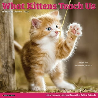 Cat Wall Calendars in Wall Calendars - Walmart.com