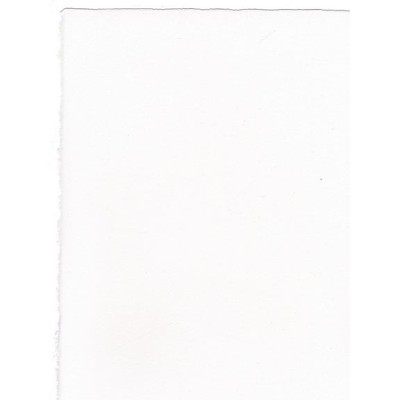 Arches Watercolor Paper 140 Lb. Cold Press White 22 In. X 30 In. Sheet (100511522) 84335