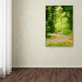 thumbnail image 4 of Trademark Fine Art "S Road" Canvas Art by Philippe Sainte-Laudy, 4 of 4