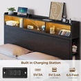 thumbnail image 5 of Rolanstar Queen Bed Frame with Storage Headboard, Metal Platform Charging Station, LED 4 Drawers, Bookcase Storage My Lux Decor Round, 5 of 5
