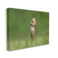 thumbnail image 4 of Stupell Industries O Sole Mio Funny Animal Animals & Insects Photography Gallery Wrapped Canvas Art Print Wall Art, 48 x 36, 4 of 8