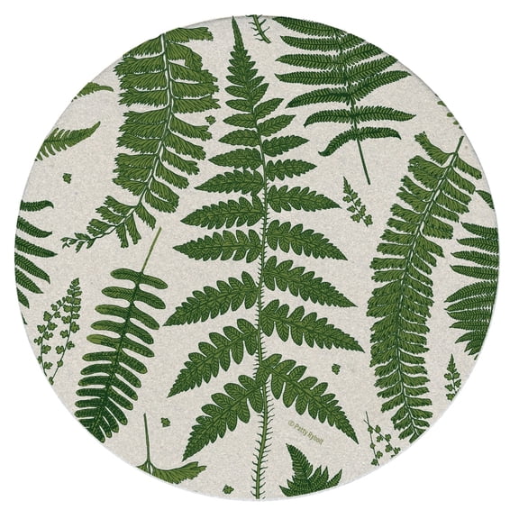 Thirstystone Natural Ferns Round Natural Sandstone Coaster 4-Pack