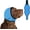 blue, variant on Noise Canceling Ear Wrap, Adjustable Dog Ear Muffs Noise Protection for Grooming Bathing Swimming, Quiet Pet Calming Cover for Fireworks Travel