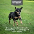 thumbnail image 2 of Nutramax Dasuquin for Small to Medium Dogs, Joint Health Supplement, Contains Glucosamine for Dogs, Plus Chondroitin, ASU and More, Supports Healthy Joints, Chewable Tablets, 150 Count, 2 of 11