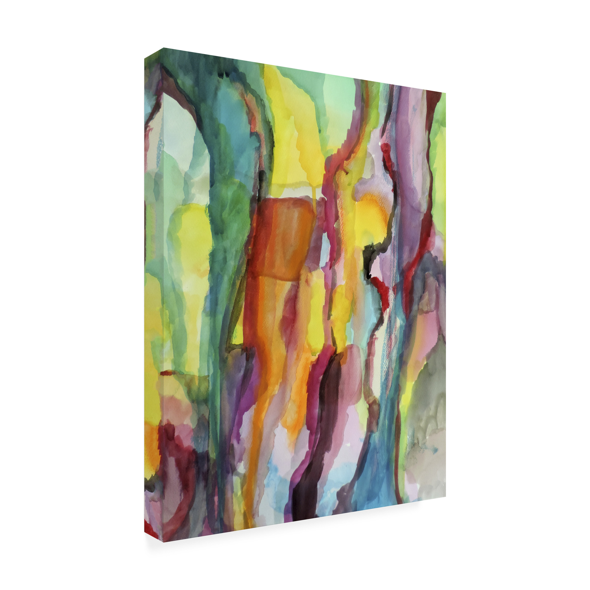Trademark Fine Art "Hiatus" Canvas Art by Sylvie Demers