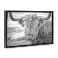 thumbnail image 3 of Stupell Industries Farmhouse Close Up Fuzzy Cattle Black Floating Frame Canvas Art, 25 x 17, by Jasper Huish, 3 of 8