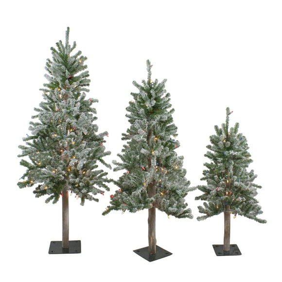 Northlight Set of 3 Flocked Alpine Artificial Christmas Trees - Unlit