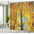 thumbnail image 5 of Ambesonne Nature Shower Curtain, Autumn Trees Leaf Forest, 69"Wx75"L, Earth Yellow Sand Brown, 5 of 5