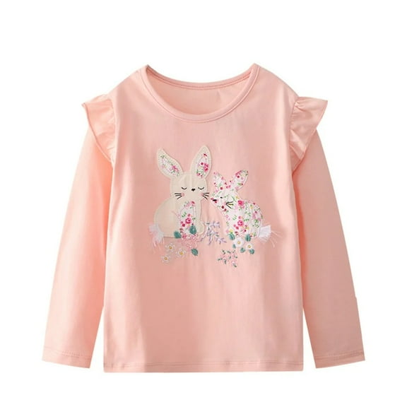 XBASW Toddler Baby Girls Embroidered T-Shirts Pullover Cotton Undershirt Spring Fall Long Sleeve Tees Tops for Kids 1-7T