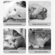 thumbnail image 5 of Juguete interactivo de silicona para gatos con forma de pez, comedero para gatos de interior, dispensador de golosinas, juguete para morder para gatitos, suministros para mascotas, 5 of 7