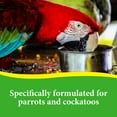 thumbnail image 3 of (2 pack) 3-D Pet Products Premium Parrot Bird Food Seeds, with Probiotics, 8 lb. Bag, Dry, 3 of 13