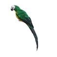 thumbnail image 6 of RjnShan Fake Birds Figurines Cute Parrot Decor, Bird Ornaments for Table Shelf, Artificial Birds Farmhouse Home Garden Decorations H, 6 of 10