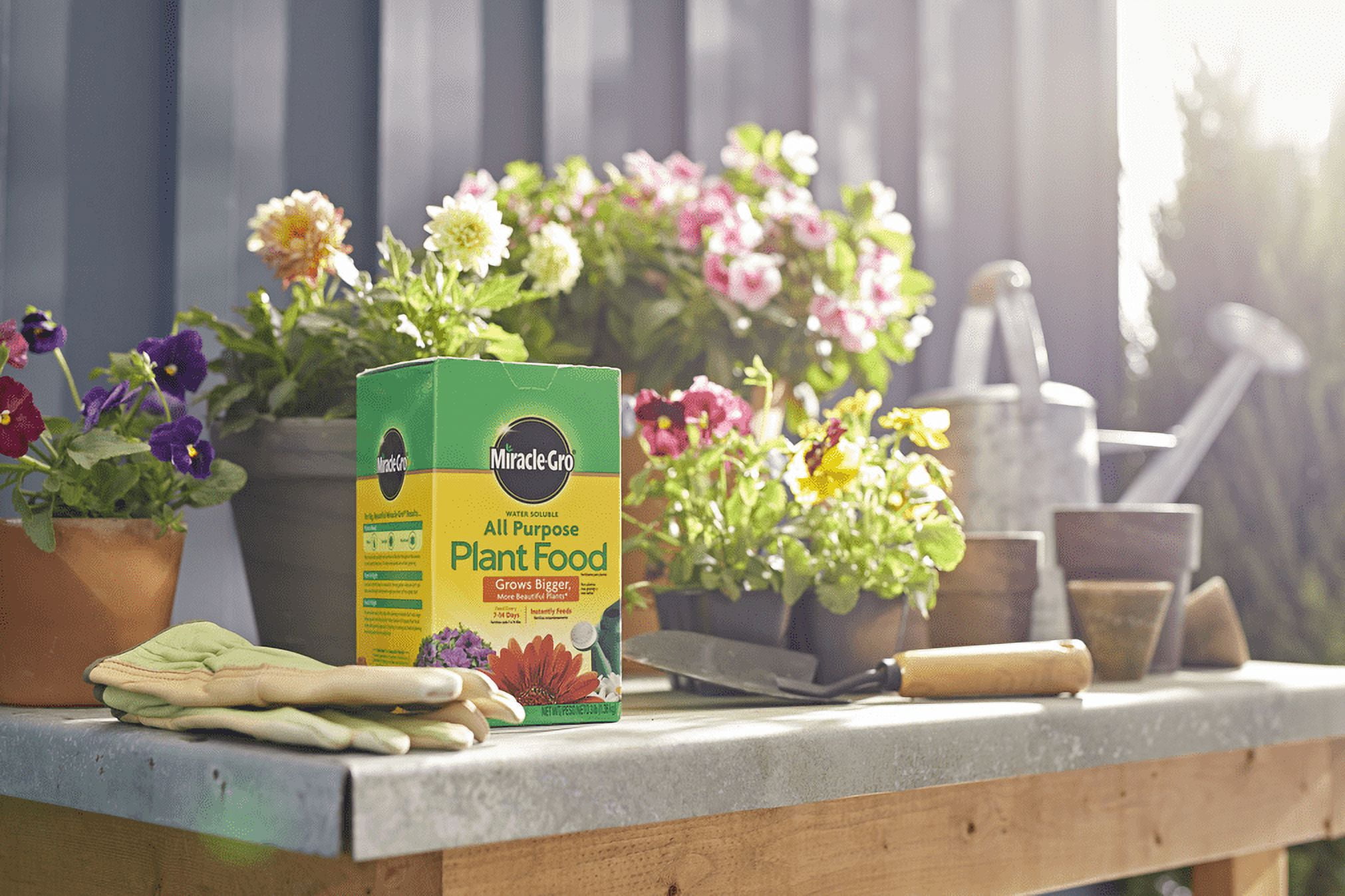 Miracle-Gro Water Soluble All Purpose Plant Food 3 lb.