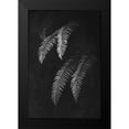 thumbnail image 2 of Nature Magick 17x24 Black Modern Framed Museum Art Print Titled - Black and White Forest Ferns II, 2 of 5