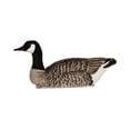 thumbnail image 5 of Avian X Topflight Honker Floaters with True to Life Postures and Weight Forward Swim Keel for Hunting Use, Outdoor Sports, and Recreation, 5 of 13