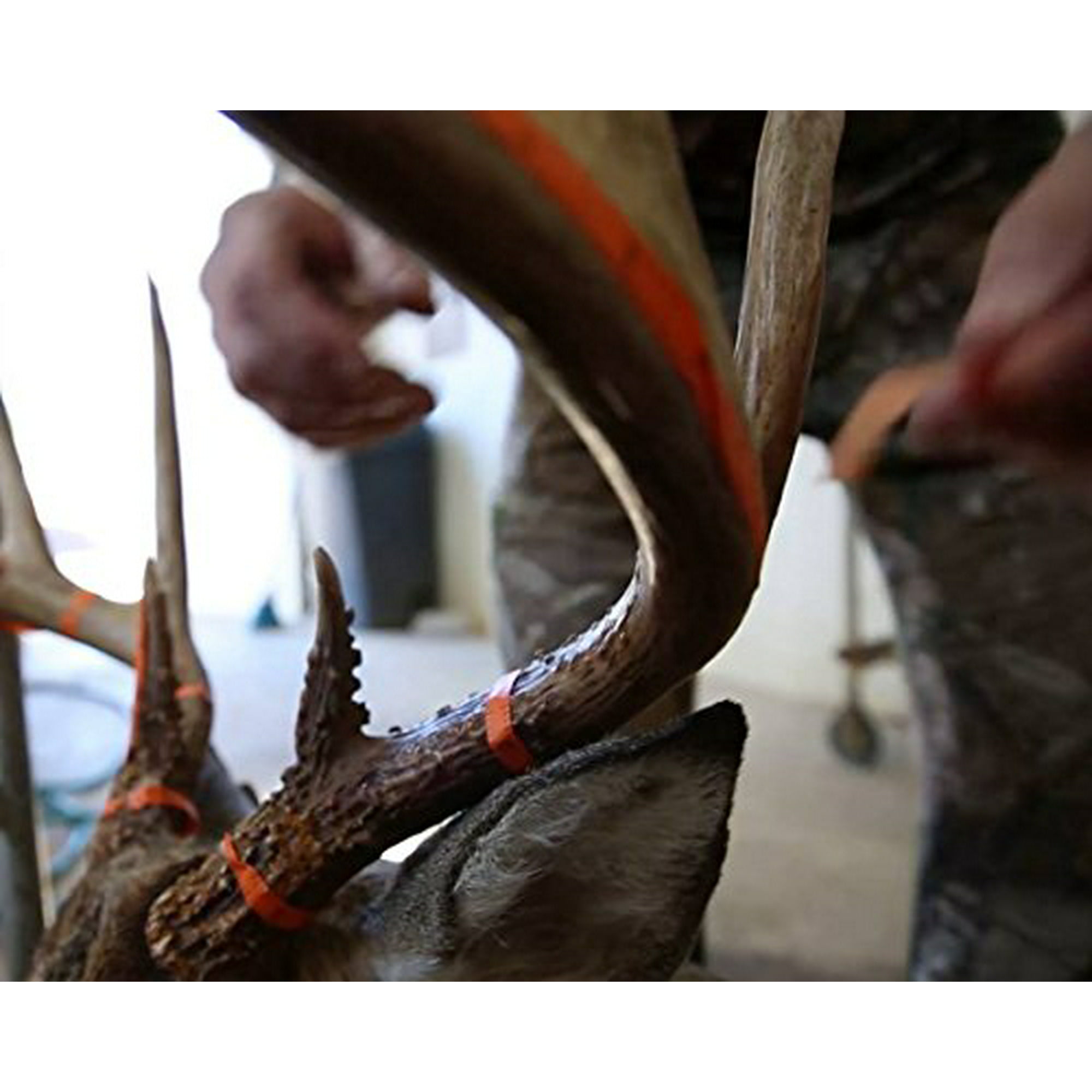 Wildgame Innovations 424 Trophy Tape | Walmart Canada