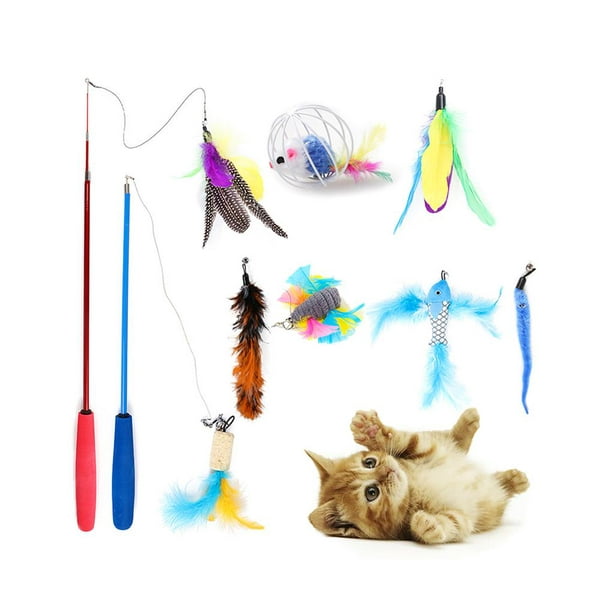 Cat Toys 10 Pcs Interactive Cat Wand Retractable Cat Fishing Toy with 2 Pole  & 8 Head Replacement Cat Fishing Teaser Fishing Pole Toy for Interaction  and Exercise 