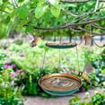 thumbnail image 5 of Rewenti Hanging Bird Feeder Garden Bath Tray Outdoor Bird Waterer Rust-Proof Weather-Resistant, 5 of 5