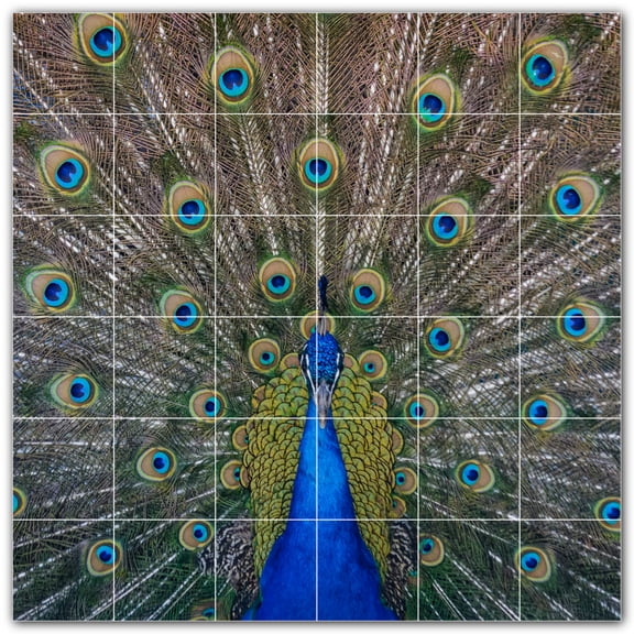 Picture-Tiles.com: Bird Ceramic Tile Wall Mural WAL500212-66M. 36"W x 36"H using (36) 6" x 6" Ceramic Tiles-Satin Finish