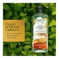 thumbnail image 2 of Shampoo Herbal Essences Bio:Renew toronja blanca y menta 400 ml, 2 of 4