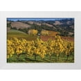 thumbnail image 3 of Rita Crane 32x23 White Modern Wood Framed Wall Art Titled - Barns and Vineyards I, 3 of 5