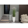 thumbnail image 6 of Faux Foxtail Grass 66” | Purple and white topped | Tall artificial grass in a square white planter | Home décor | Vintage Home, 6 of 8