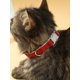 thumbnail image 1 of 1pc Cat & Dog Collar With Fresh Plaid Pattern And Adjustable Sweet Neck Collar, Suitable For Cats And Dogs, 1 of 5