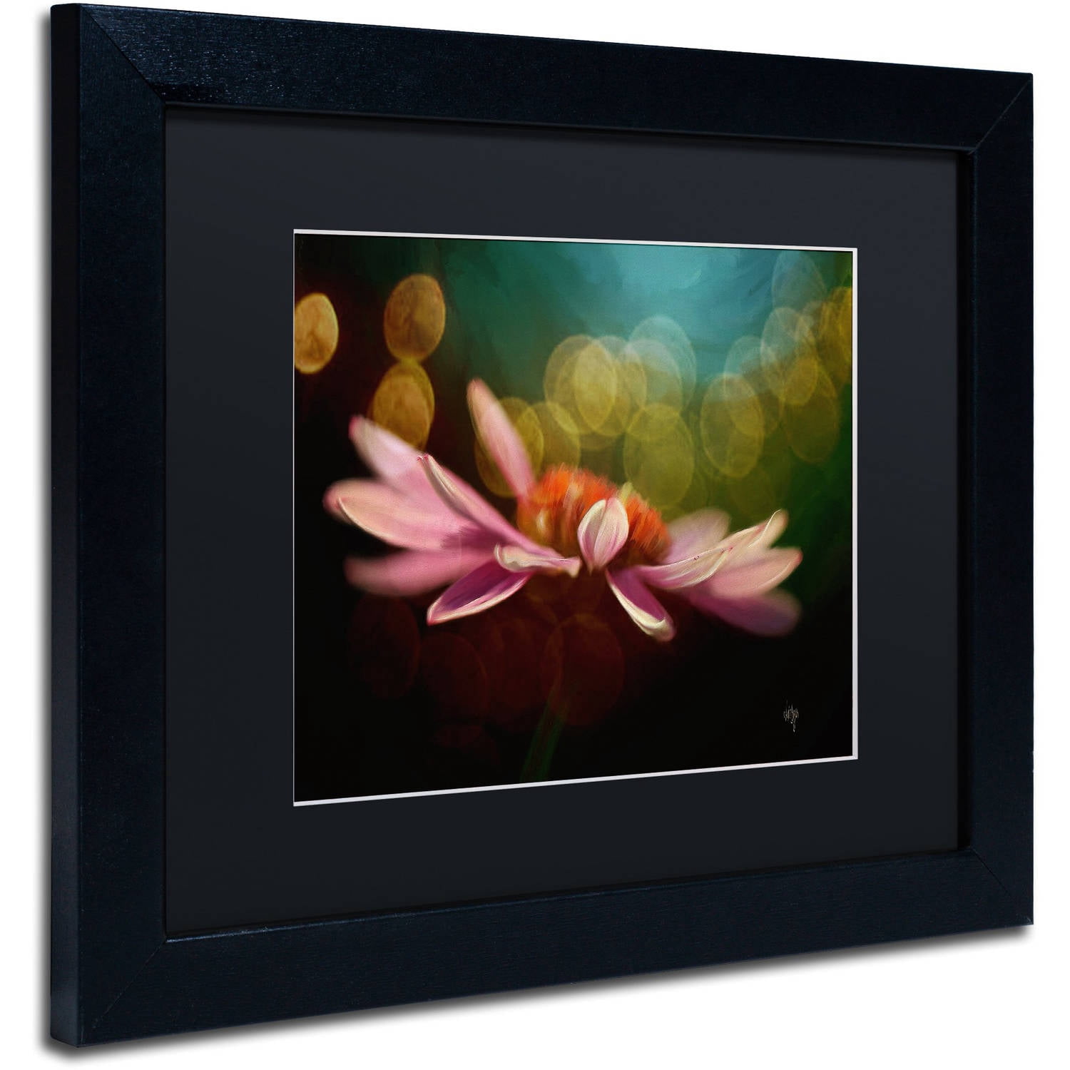 Trademark Fine Art "The Secret World of Coneflowers" Canvas Art by Lois Bryan Black Matte, Black Frame