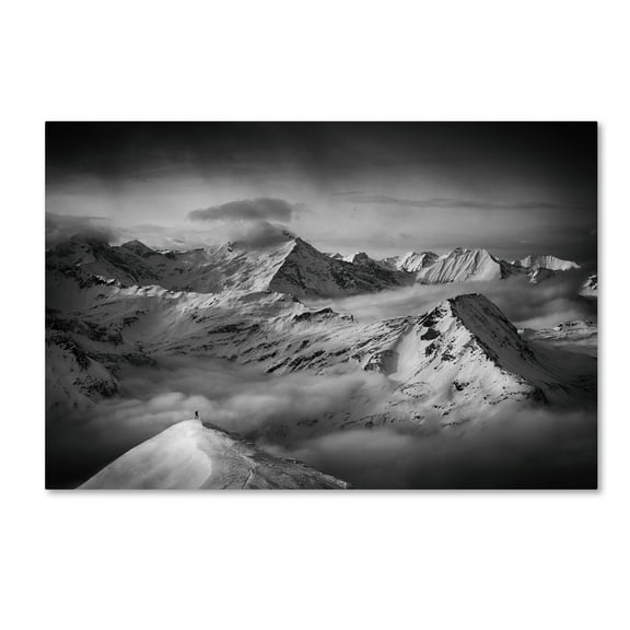 Trademark Fine Art 'The Man And His Dream' Canvas Art by Peter Svoboda