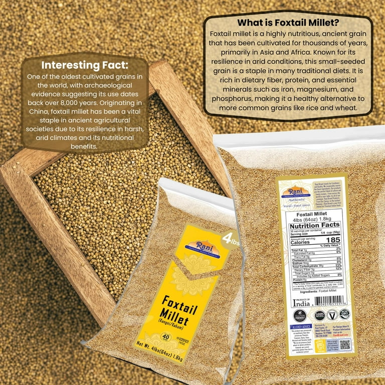 ☆millet☆ Women's Shoes HIKE UP GORE-TEX - Shoes - Randonnee | Millet