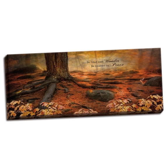 Gango Home Decor Contemporary Wonder by Robin-Lee Vieira (Ready to Hang); One 20x8in Hand-Stretched Canvas