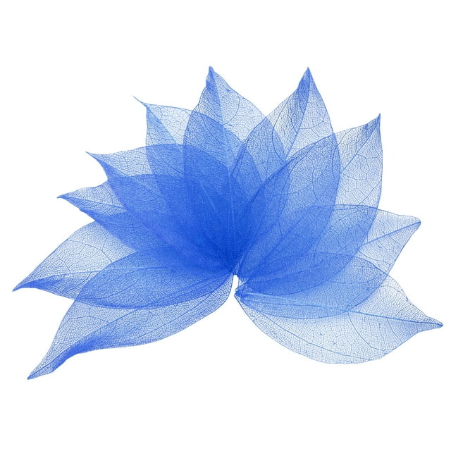 100 Pcs Hojas Esqueléticas Azules Oscuras, 2"- 3" Hojas Prensadas de Árbol de Caucho para Álbumes de Fotos y Manualidades